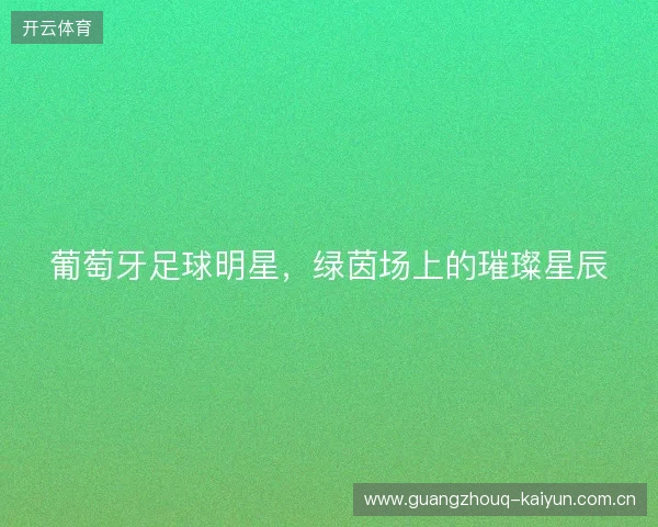 葡萄牙足球明星，绿茵场上的璀璨星辰